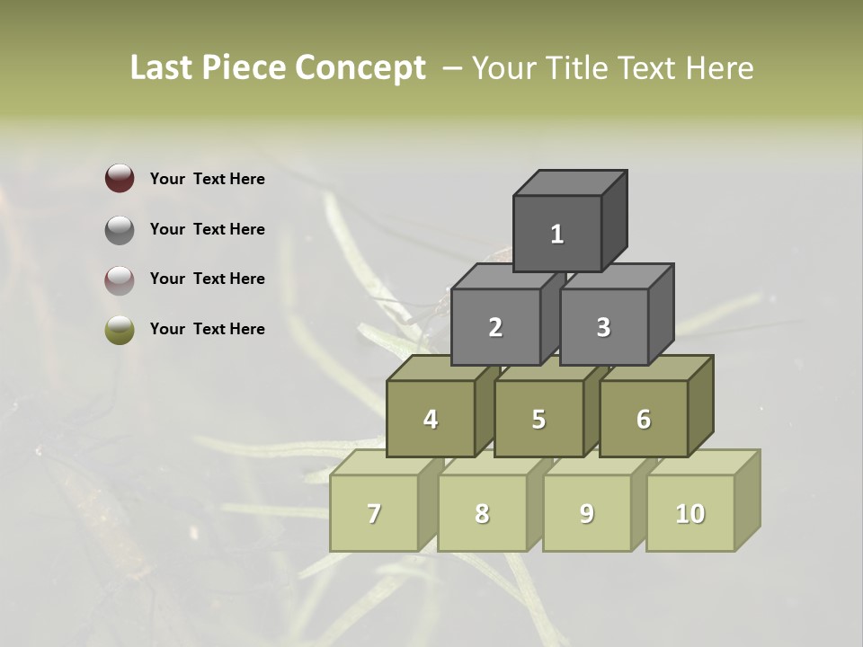 Gerris Common Surface PowerPoint Template