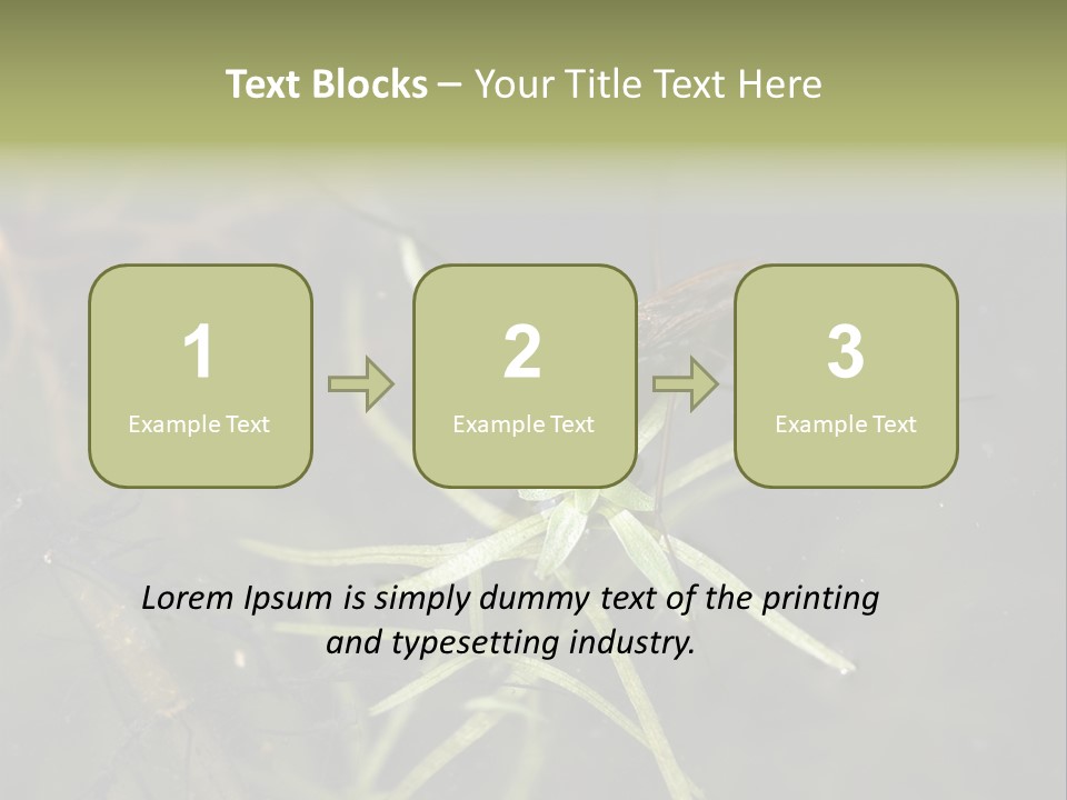 Gerris Common Surface PowerPoint Template