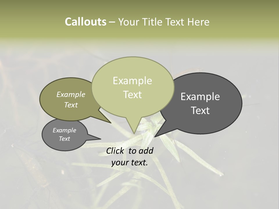 Gerris Common Surface PowerPoint Template