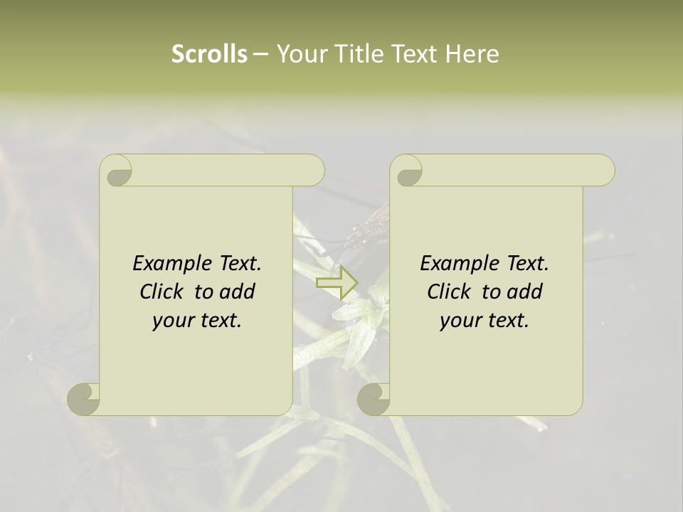 Gerris Common Surface PowerPoint Template