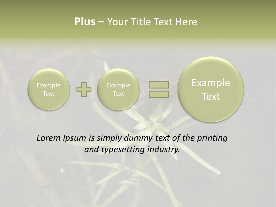 Gerris Common Surface PowerPoint Template