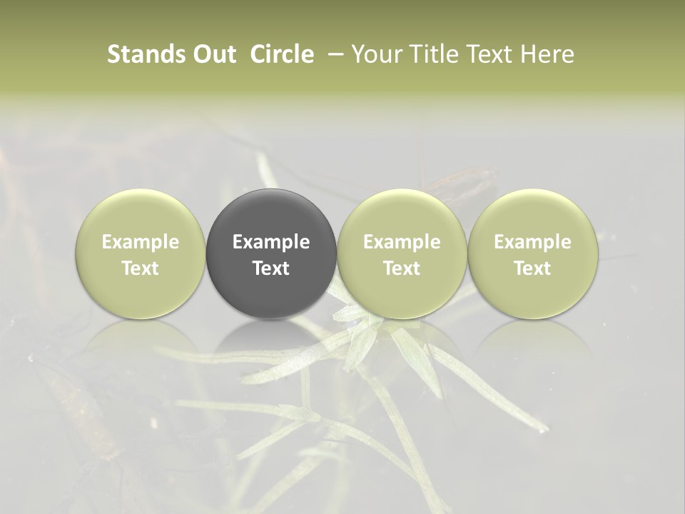 Gerris Common Surface PowerPoint Template