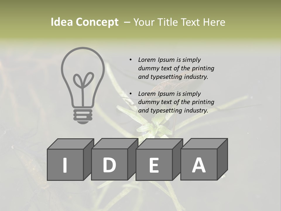 Gerris Common Surface PowerPoint Template