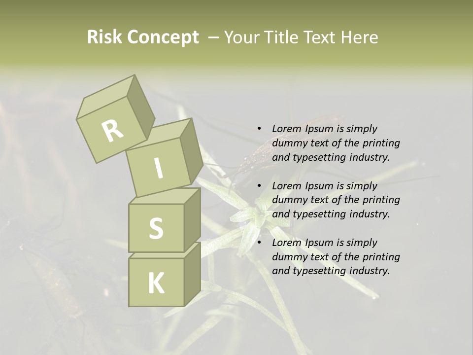 Gerris Common Surface PowerPoint Template