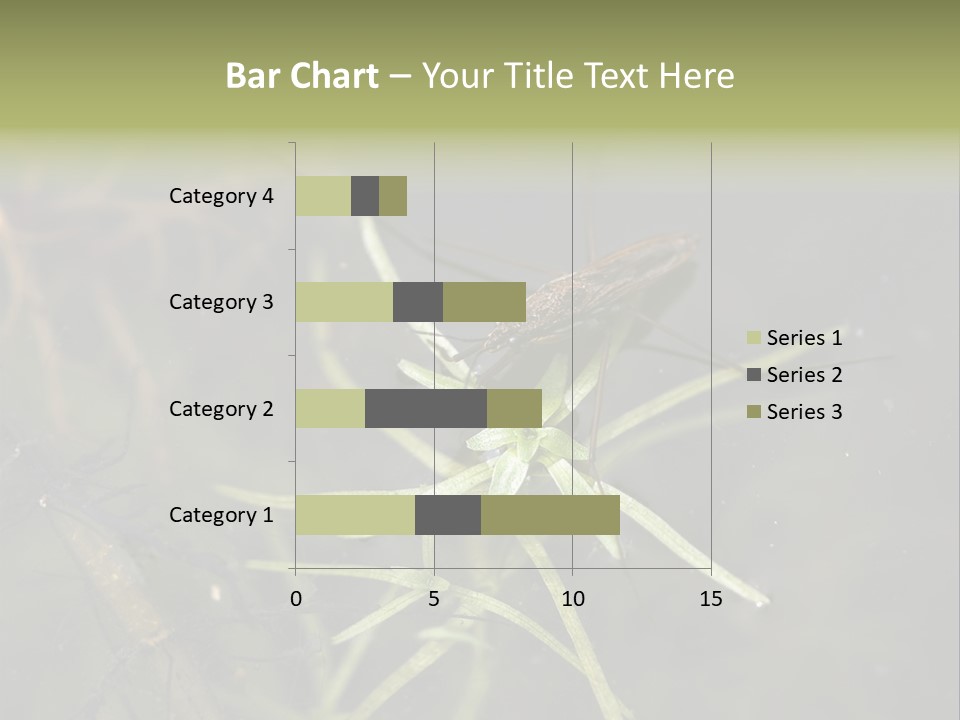 Gerris Common Surface PowerPoint Template