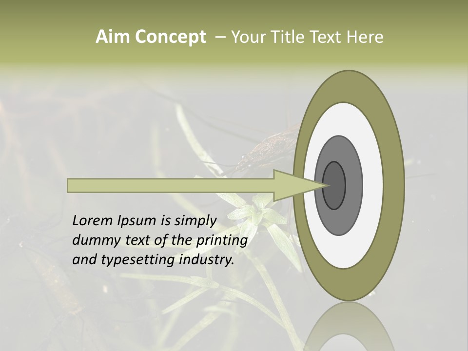 Gerris Common Surface PowerPoint Template