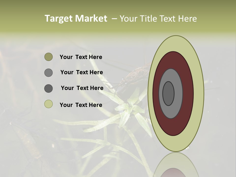 Gerris Common Surface PowerPoint Template