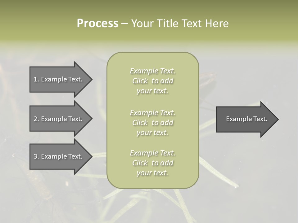 Gerris Common Surface PowerPoint Template