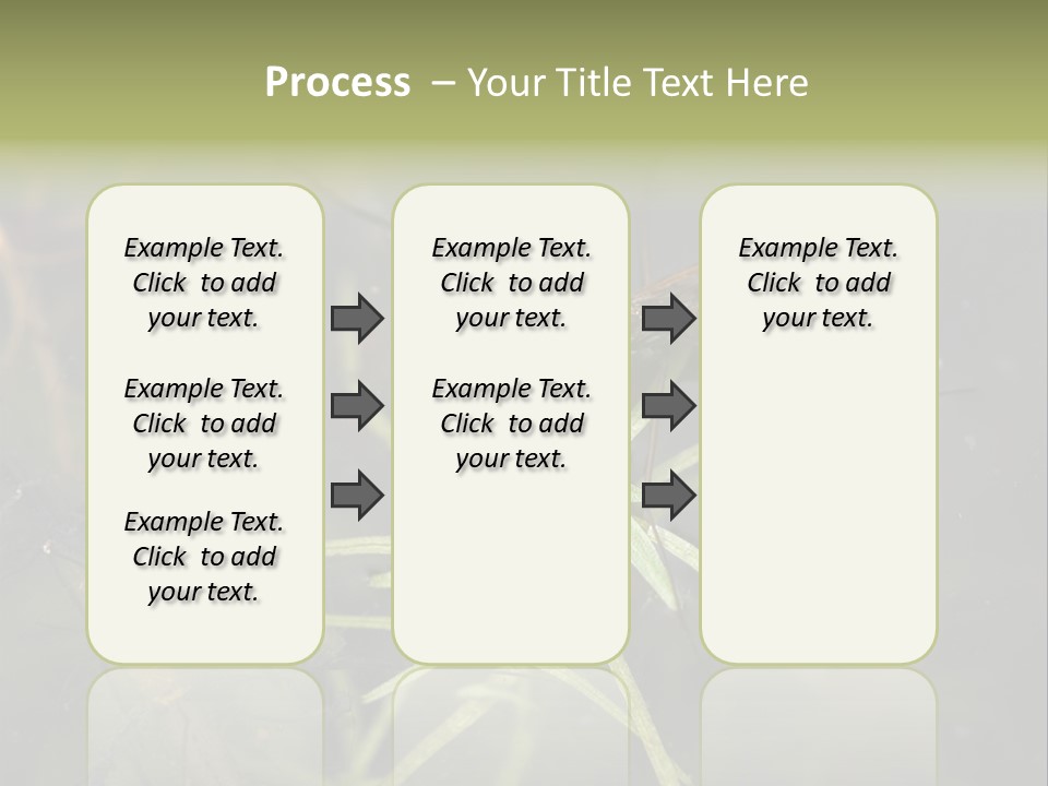 Gerris Common Surface PowerPoint Template