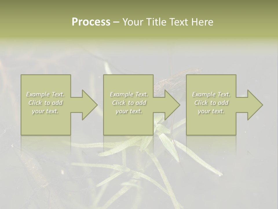Gerris Common Surface PowerPoint Template