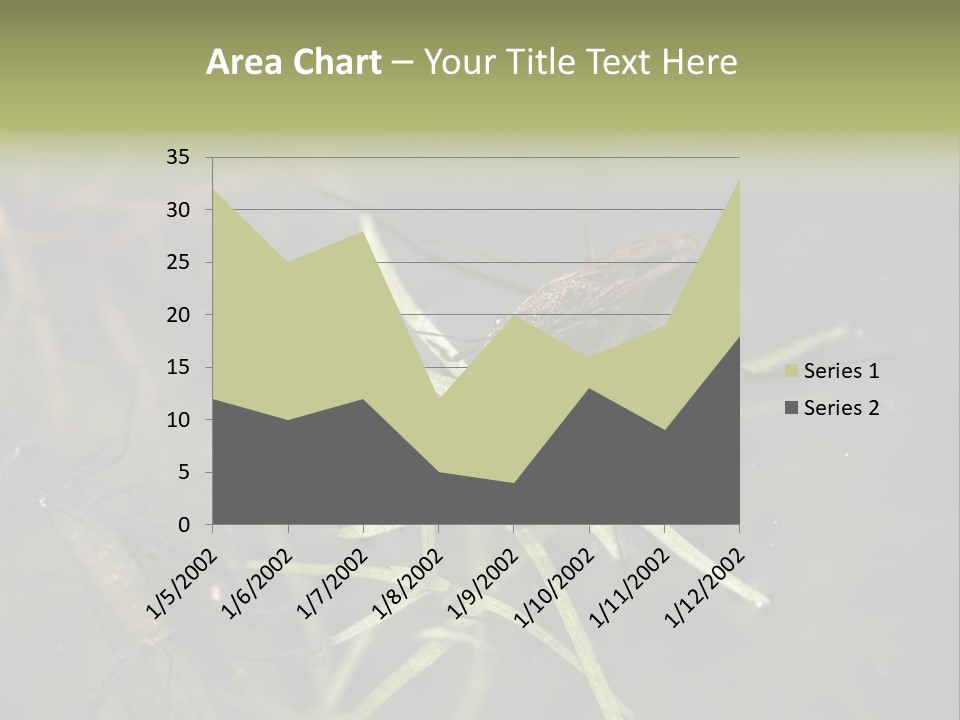 Gerris Common Surface PowerPoint Template
