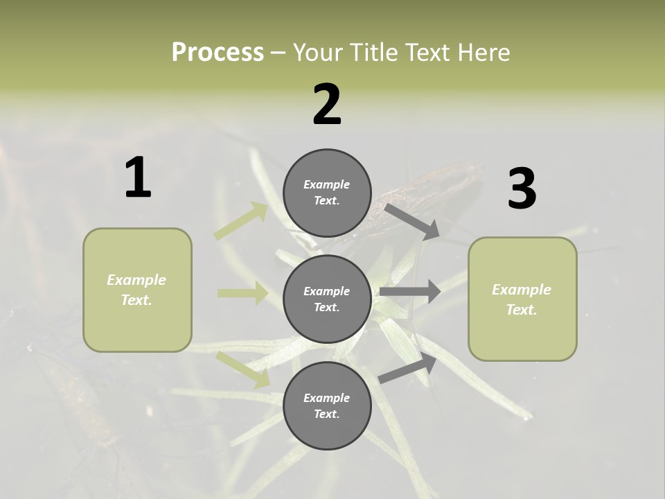 Gerris Common Surface PowerPoint Template
