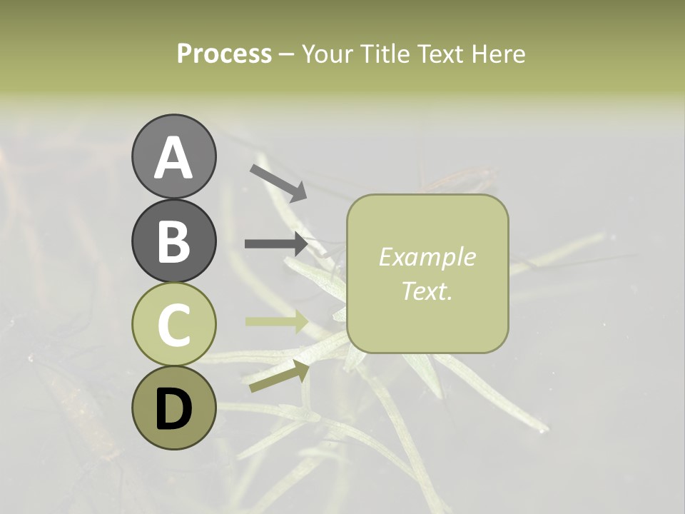 Gerris Common Surface PowerPoint Template