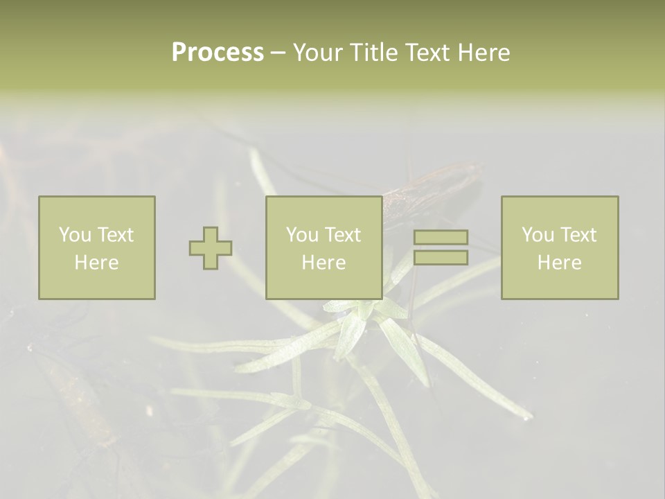 Gerris Common Surface PowerPoint Template