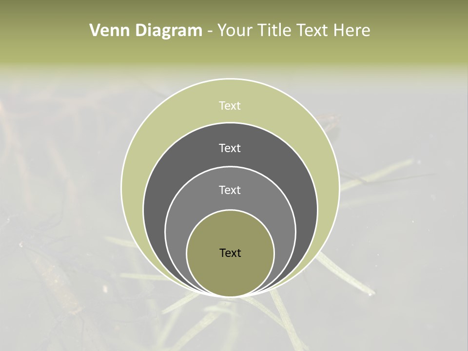 Gerris Common Surface PowerPoint Template