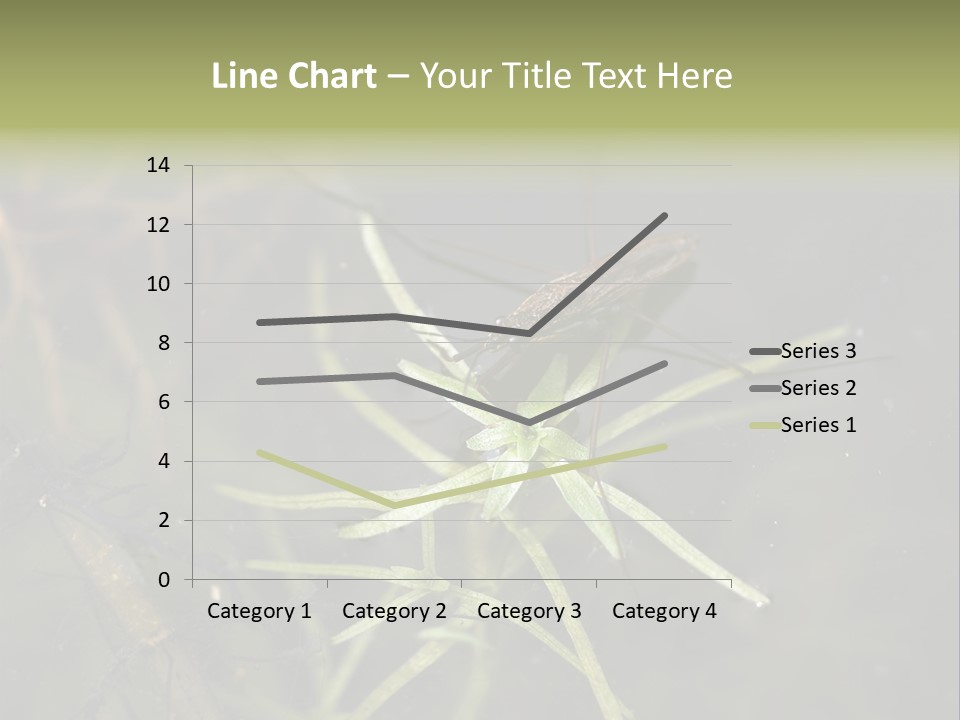 Gerris Common Surface PowerPoint Template