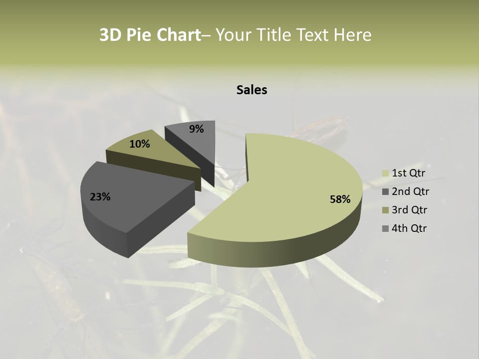 Gerris Common Surface PowerPoint Template