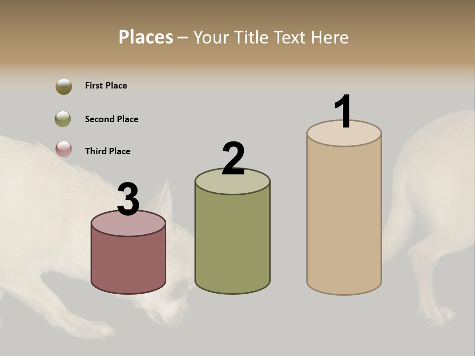 Tracking Dog Length PowerPoint Template