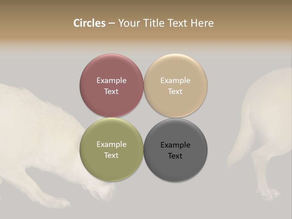 Tracking Dog Length PowerPoint Template