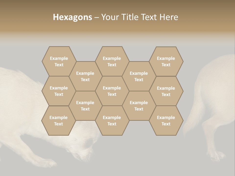 Tracking Dog Length PowerPoint Template