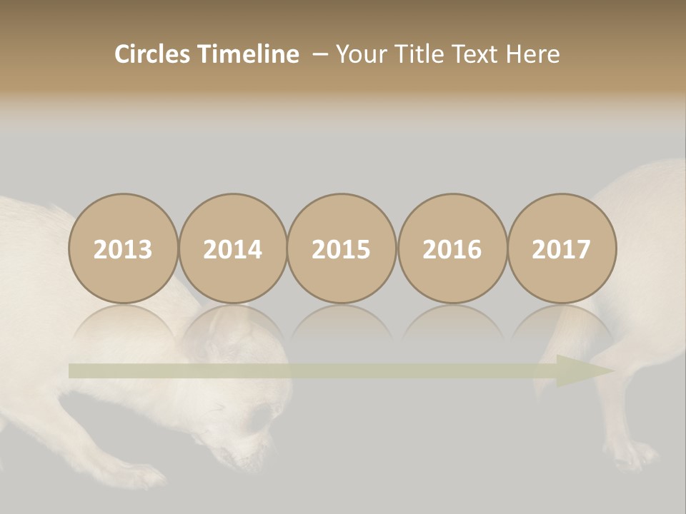 Tracking Dog Length PowerPoint Template