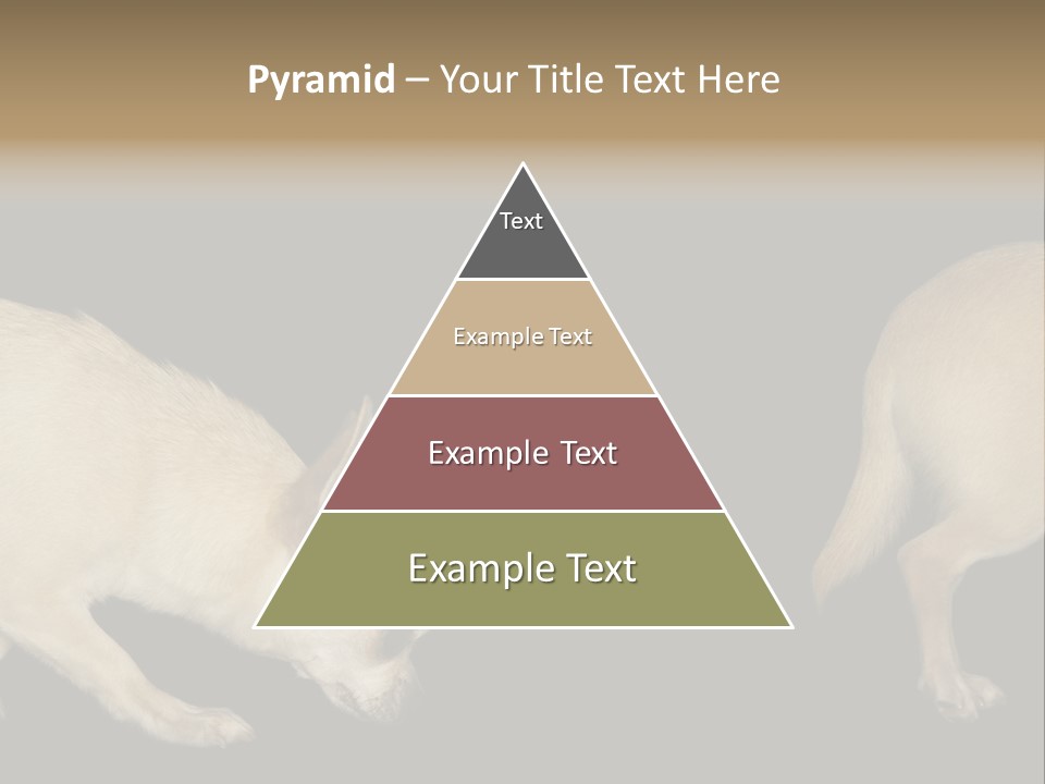 Tracking Dog Length PowerPoint Template
