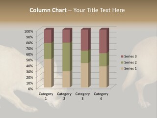 Tracking Dog Length PowerPoint Template