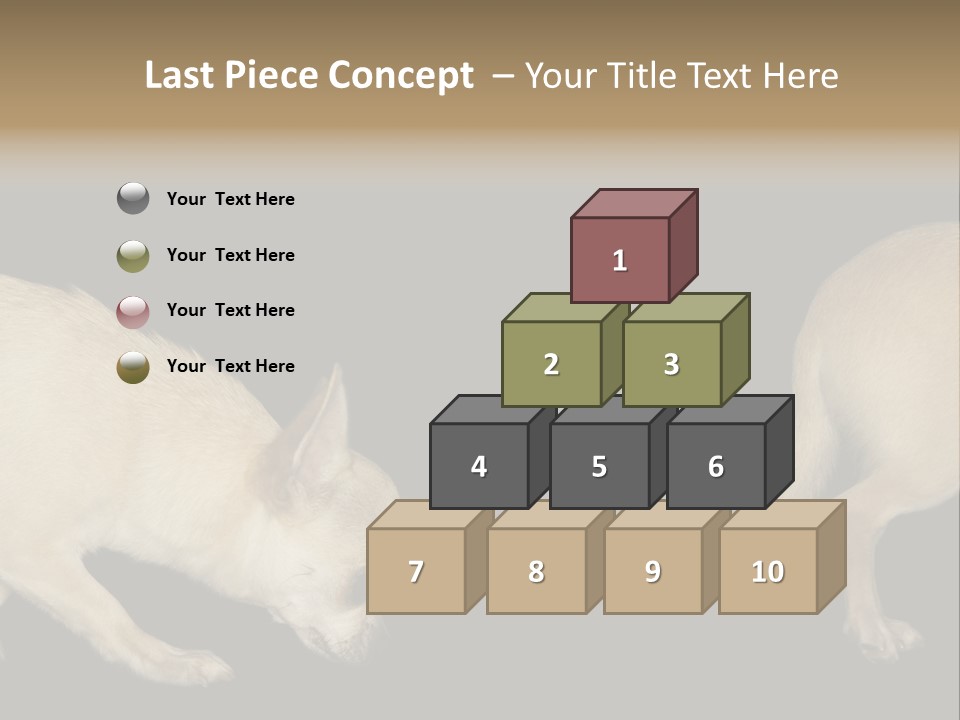 Tracking Dog Length PowerPoint Template