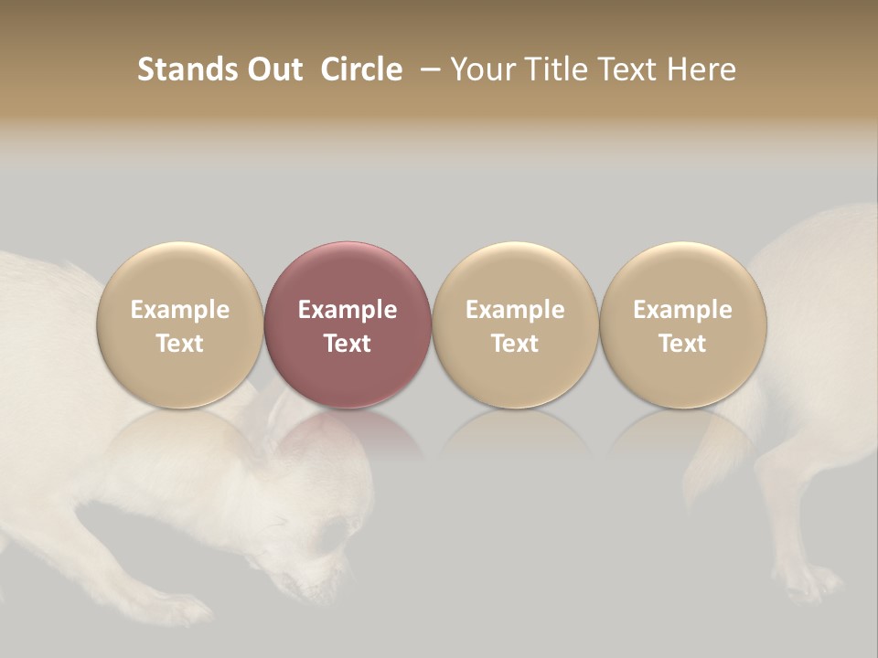 Tracking Dog Length PowerPoint Template