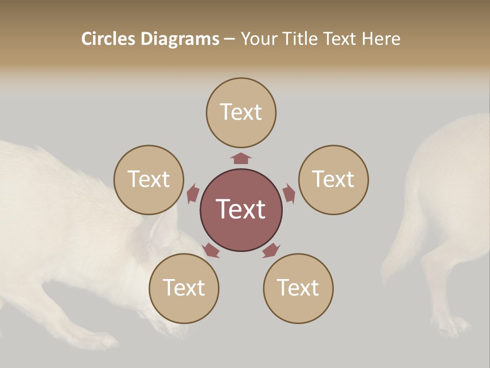 Tracking Dog Length PowerPoint Template