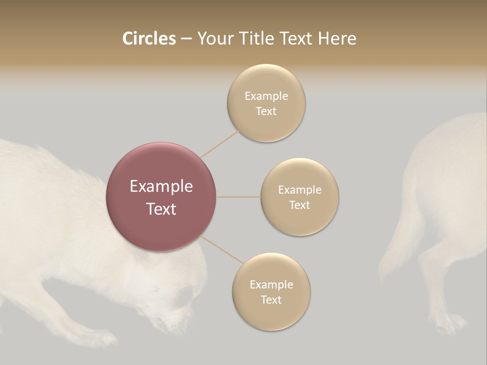 Tracking Dog Length PowerPoint Template