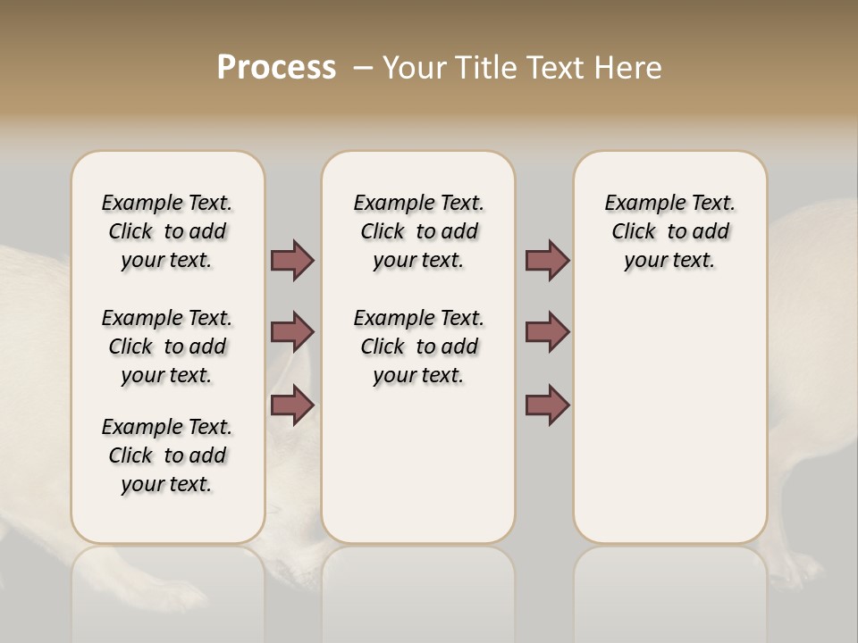 Tracking Dog Length PowerPoint Template
