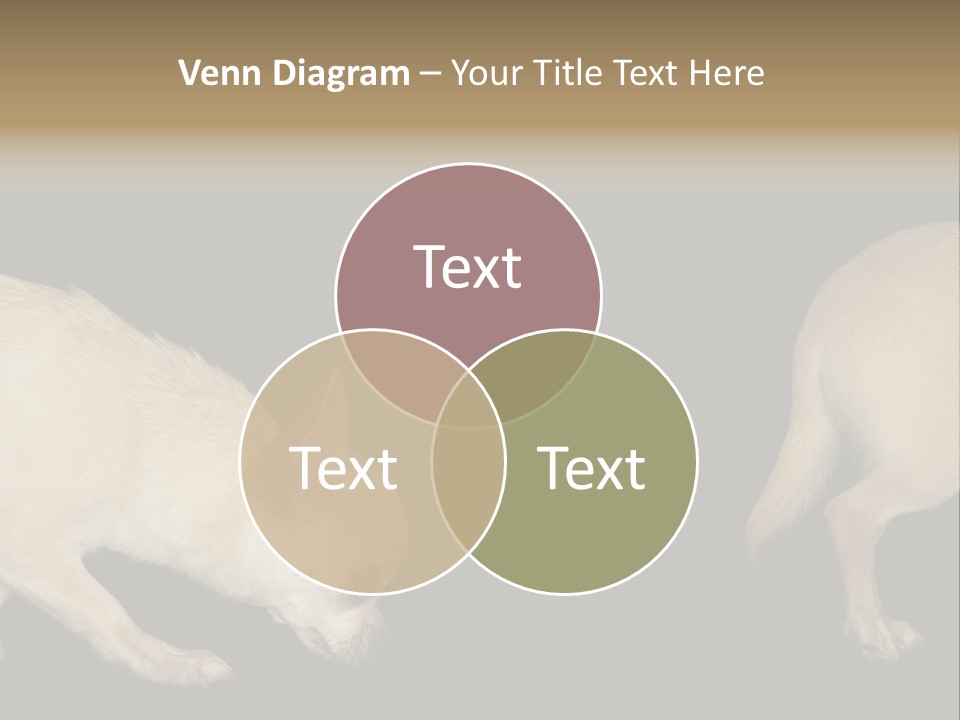 Tracking Dog Length PowerPoint Template
