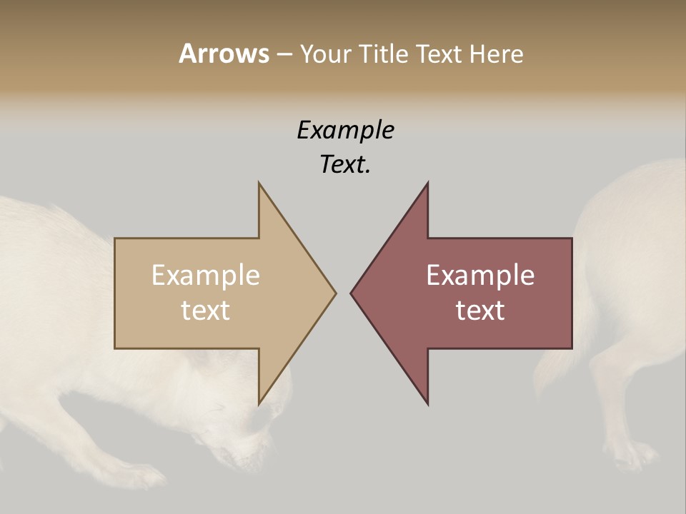 Tracking Dog Length PowerPoint Template