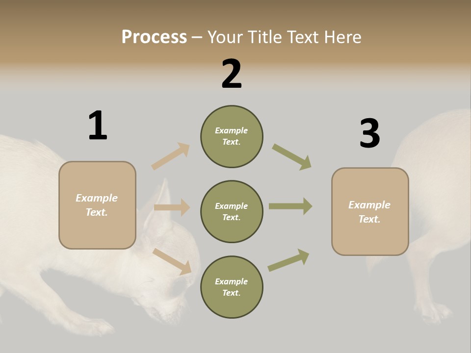 Tracking Dog Length PowerPoint Template