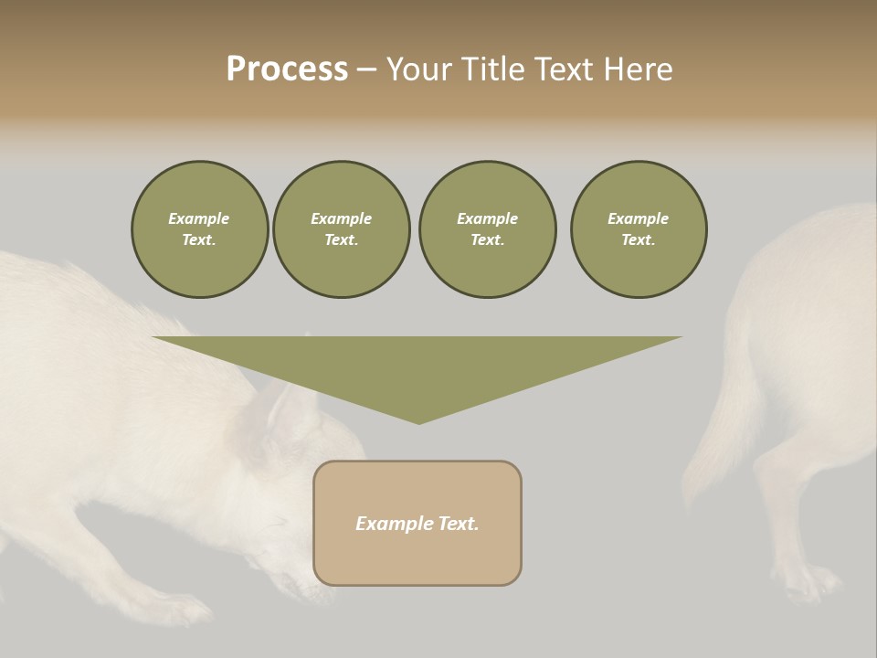 Tracking Dog Length PowerPoint Template