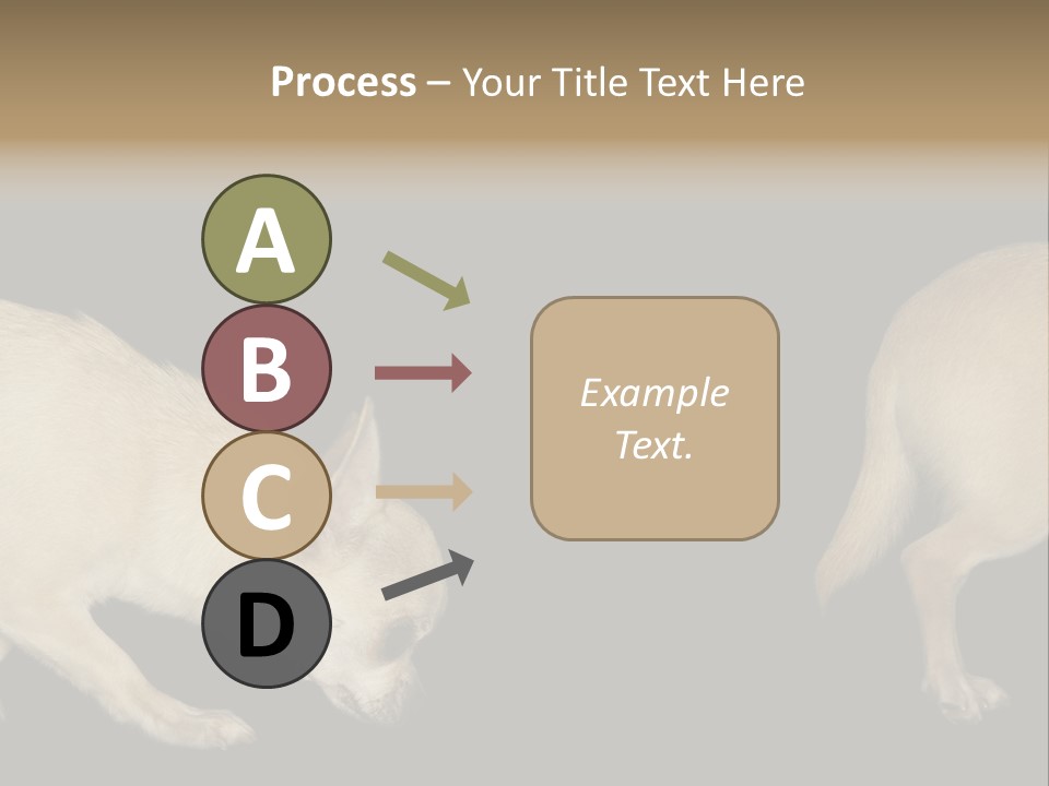 Tracking Dog Length PowerPoint Template