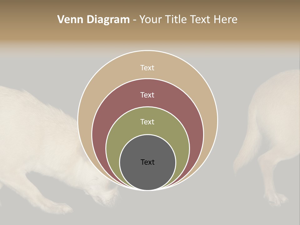 Tracking Dog Length PowerPoint Template