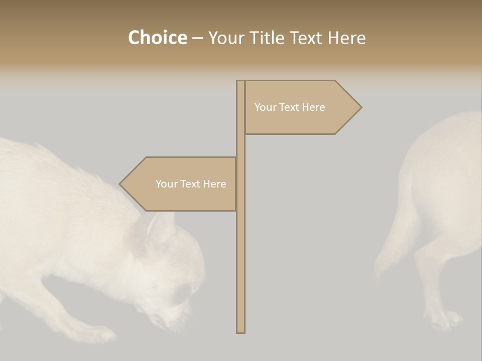 Tracking Dog Length PowerPoint Template