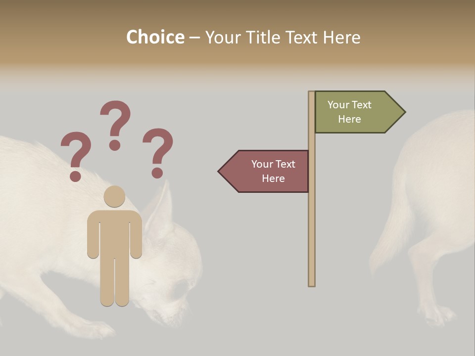 Tracking Dog Length PowerPoint Template