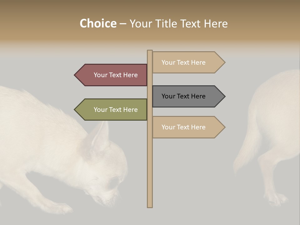 Tracking Dog Length PowerPoint Template