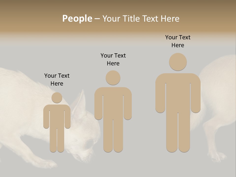 Tracking Dog Length PowerPoint Template