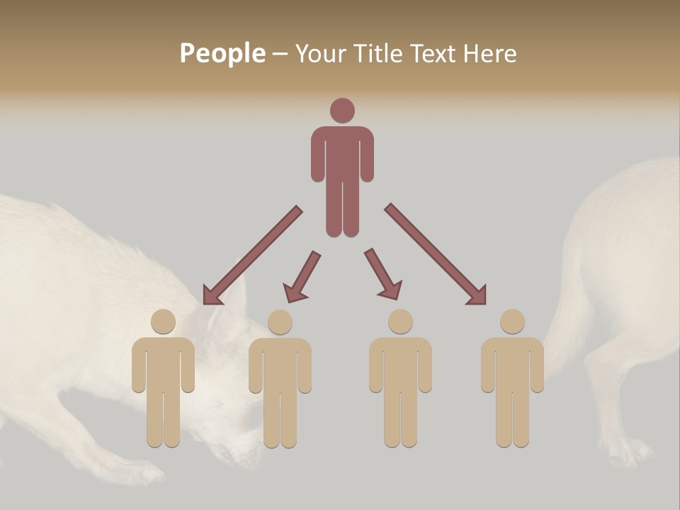 Tracking Dog Length PowerPoint Template
