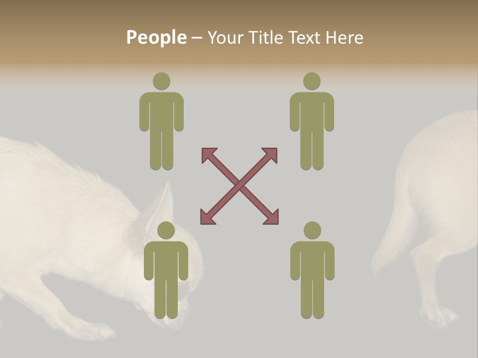 Tracking Dog Length PowerPoint Template