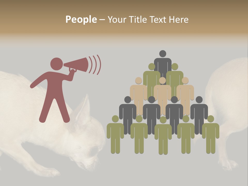 Tracking Dog Length PowerPoint Template