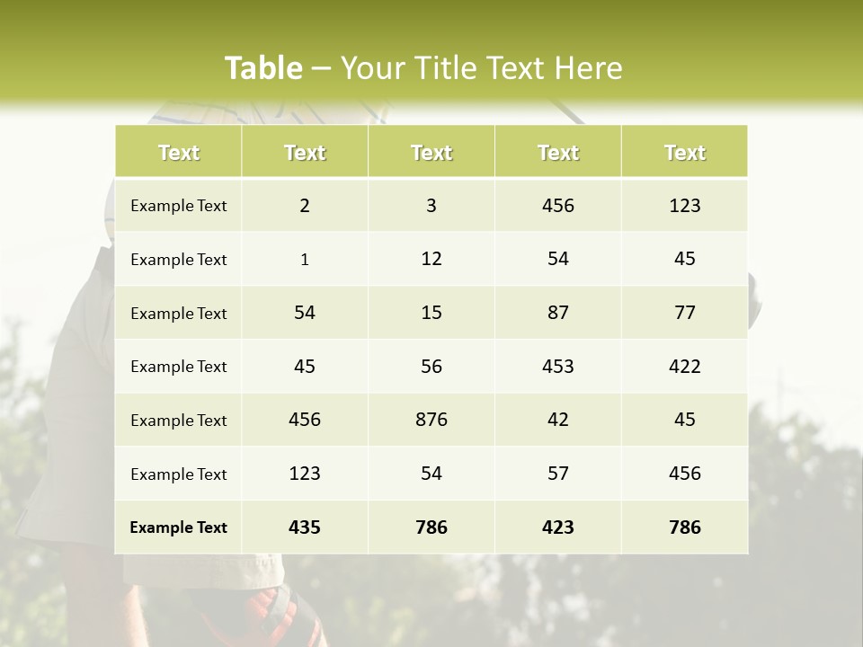 Brace Fun Drive PowerPoint Template