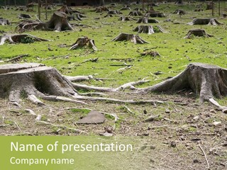 Down Ecology Protocol PowerPoint Template