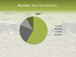 Down Ecology Protocol PowerPoint Template