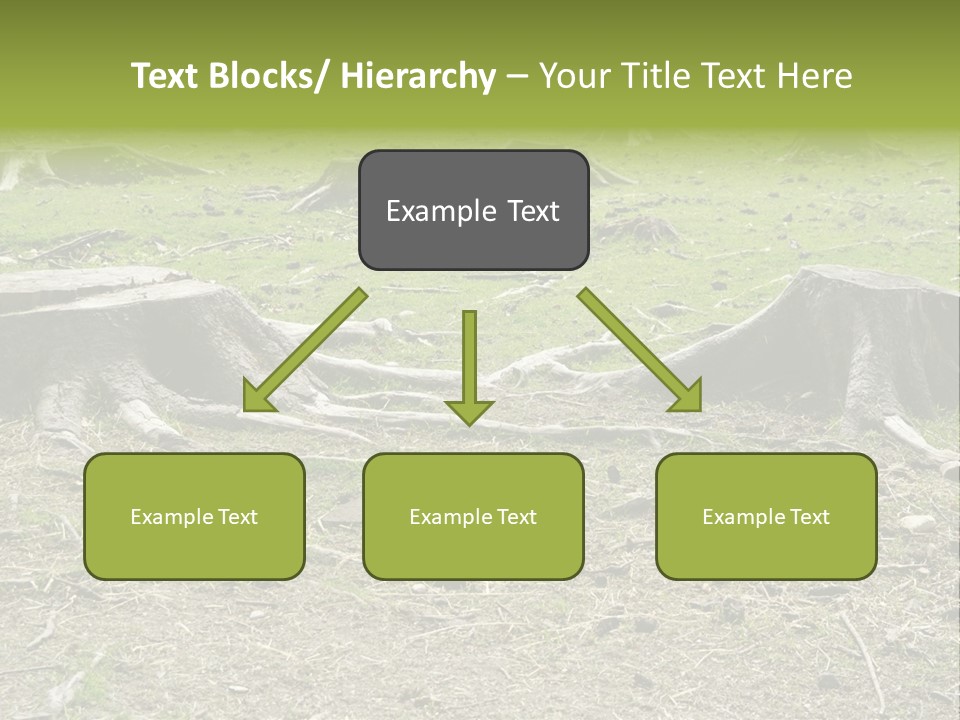 Down Ecology Protocol PowerPoint Template