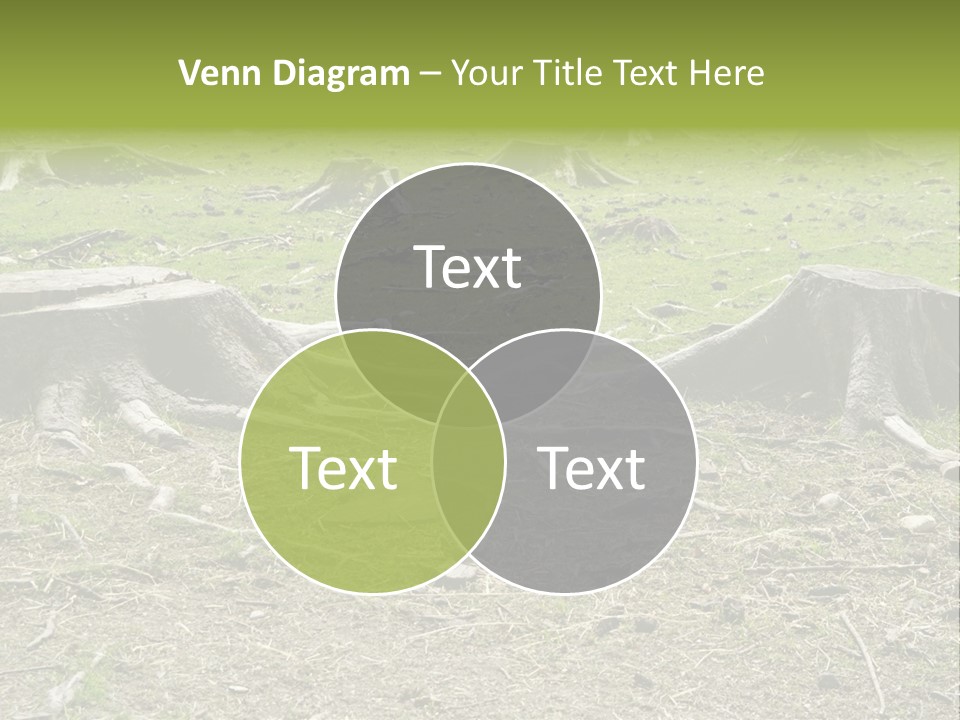 Down Ecology Protocol PowerPoint Template